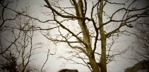 Capture, From Ollie Bradley Baker, Harry Mcswain, Ed Saunders, Jorge Challinor And Sam Gallacher, Calday Grange Grammar School