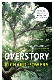 overstory