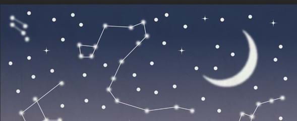 Wonder (1)